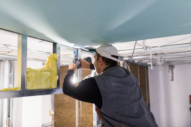 Best Commercial Insulation Services  in Clayton, GA