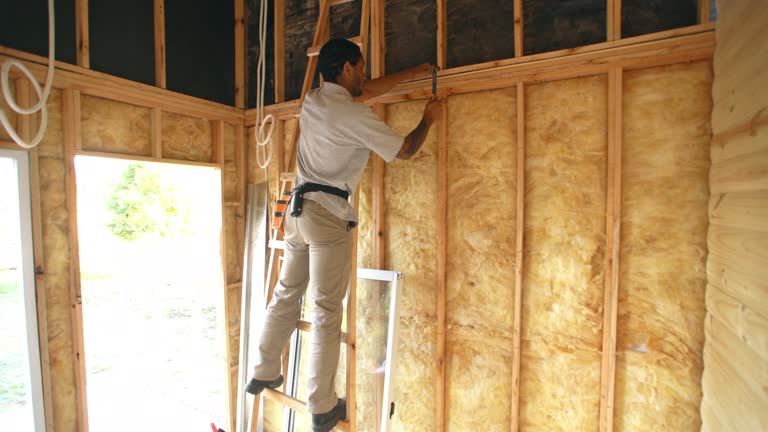 Best Radiant Barrier Insulation  in Clayton, GA